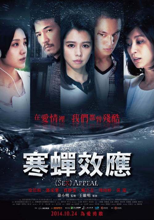 普利茅斯大学学士证书